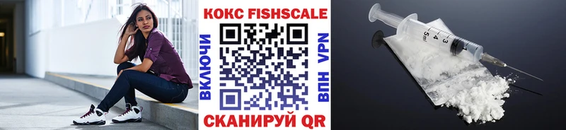 Cocaine FishScale  Купить закладки  Зея 