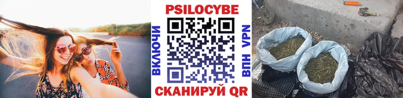 Галлюциногенные грибы прущие грибы Зея